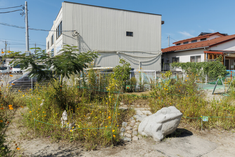 みかん山